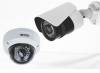 1.3MP IP Cameras